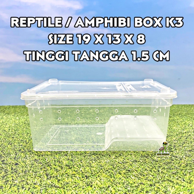 AMPHIBI REPTILE BOX K3 KANDANG PACMAN FROG PANANA LEOPARD GECKO CROCODILE SKINK KURA AIR RES XDR