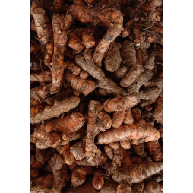 

Laris Rempah. Kunyit. Kunyit Segar. Kunir Basah. 1000gr
