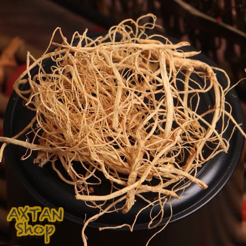 

Akar Gingseng Premium | Yio Sim Chiu | Yang Shen Xu