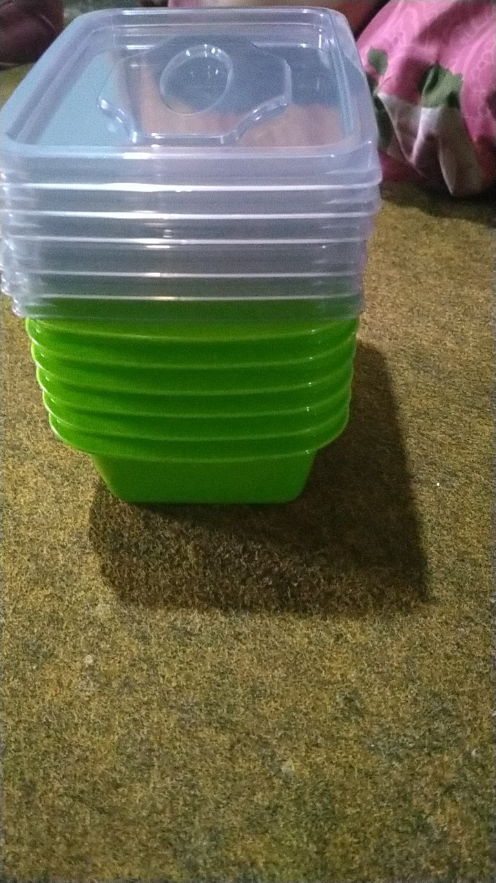 Kotak Makan 500ml Victory Food Box - Paket Hemat