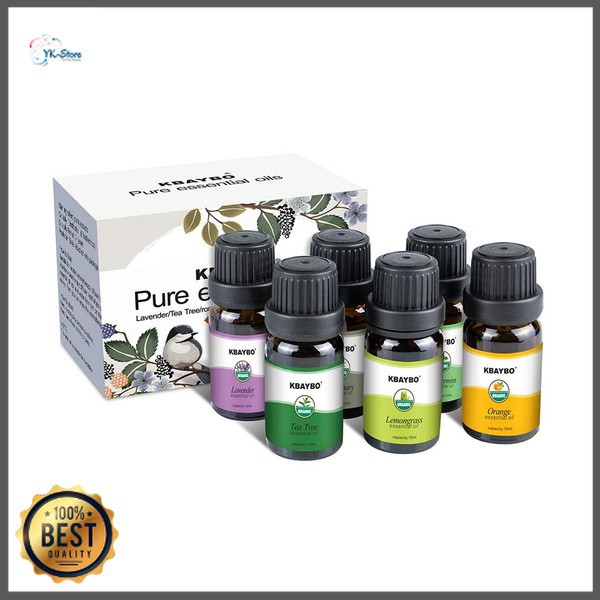 Taffware HUMI Pure Essential Fragrance Oils Aromatherapy Diffusers 10ml 6 PCS K-E7 Grab Medan