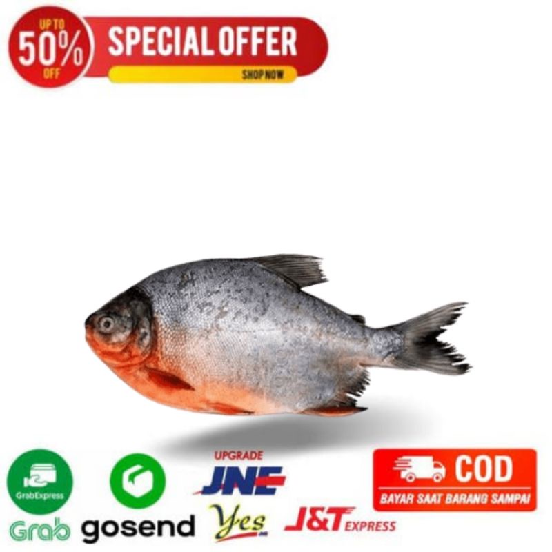 

ikan bawal merah air tawar fresh segarmart bandung