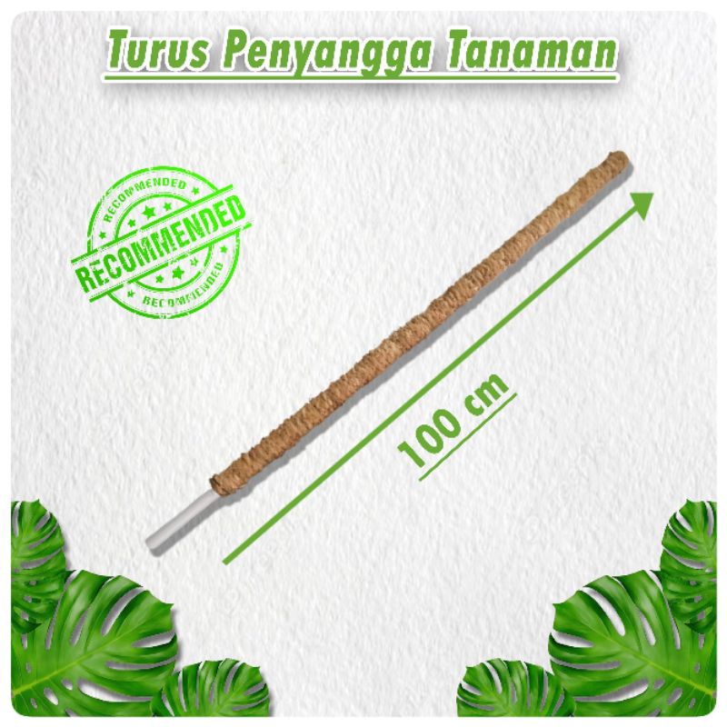 Turus Tanaman Rambat 100 cm - Turus Penyangga Tanaman - Tanaman Rambat