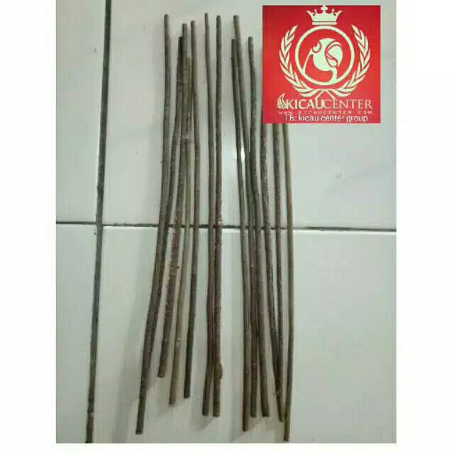 TANGKRINGAN ASEM BALI PLECI SOGON dan KOLIBRI