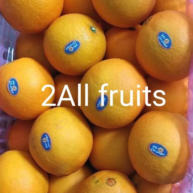 

BUAH JERUK NAVEL MADU 1 KERANJANG FH51515ED