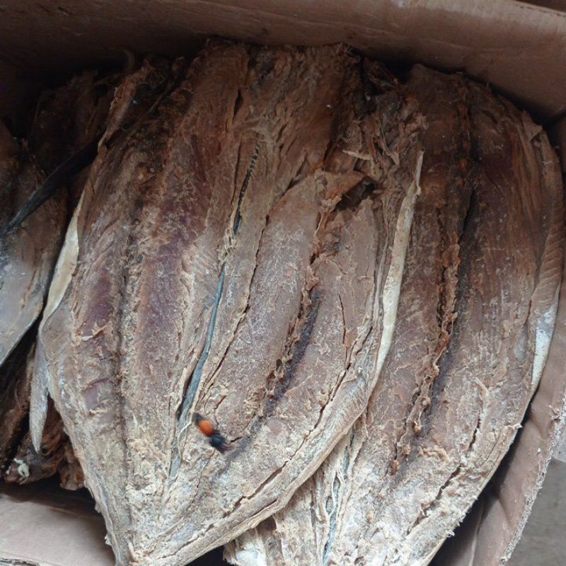 

IKAN ASIN TONGKOL ABU ABU 1KG