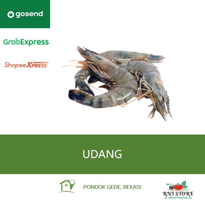 

Udang Segar 250 gram