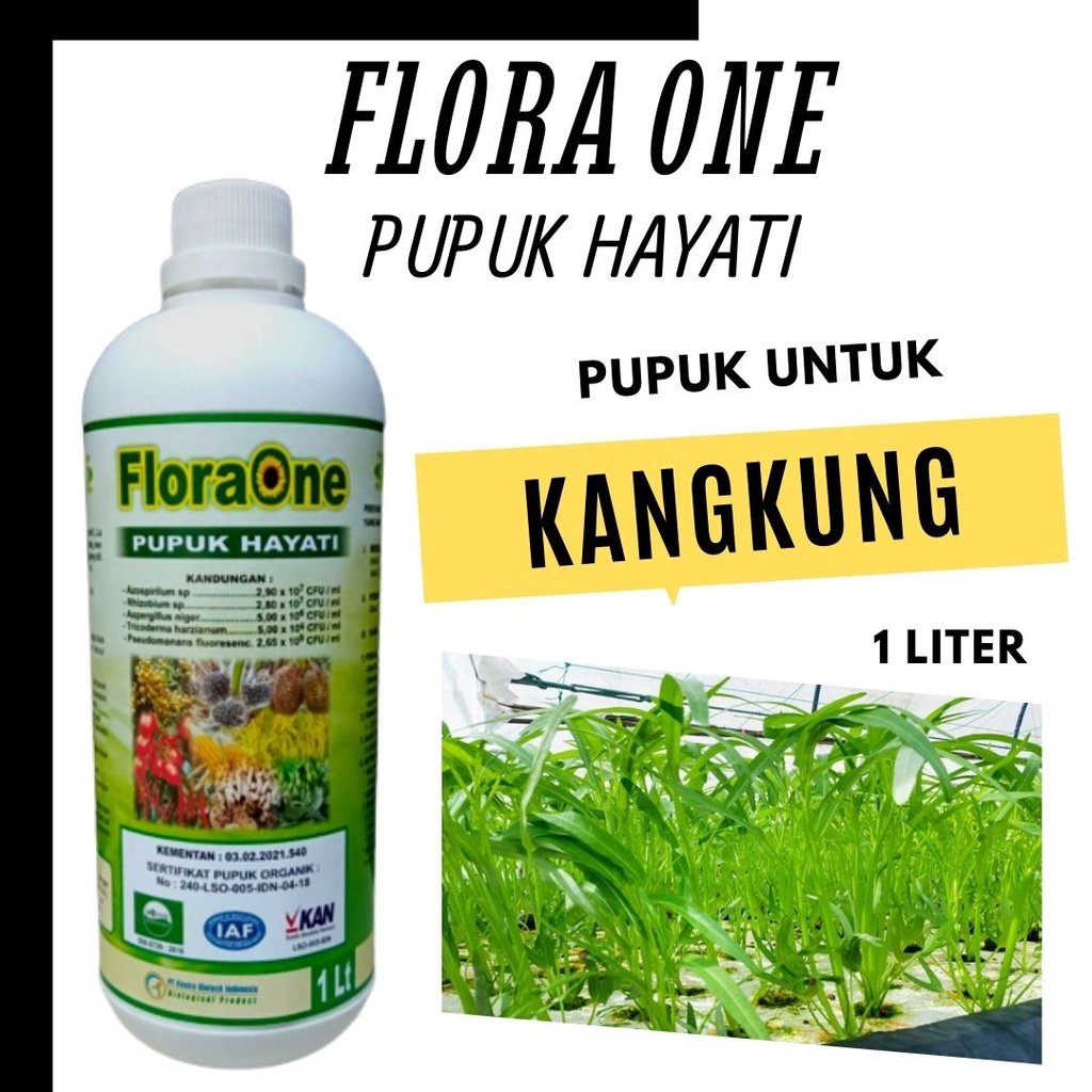 Jual Pupuk Kangkung Hidroponik Agar Subur, Pupuk Hayati Meningkatkan ...