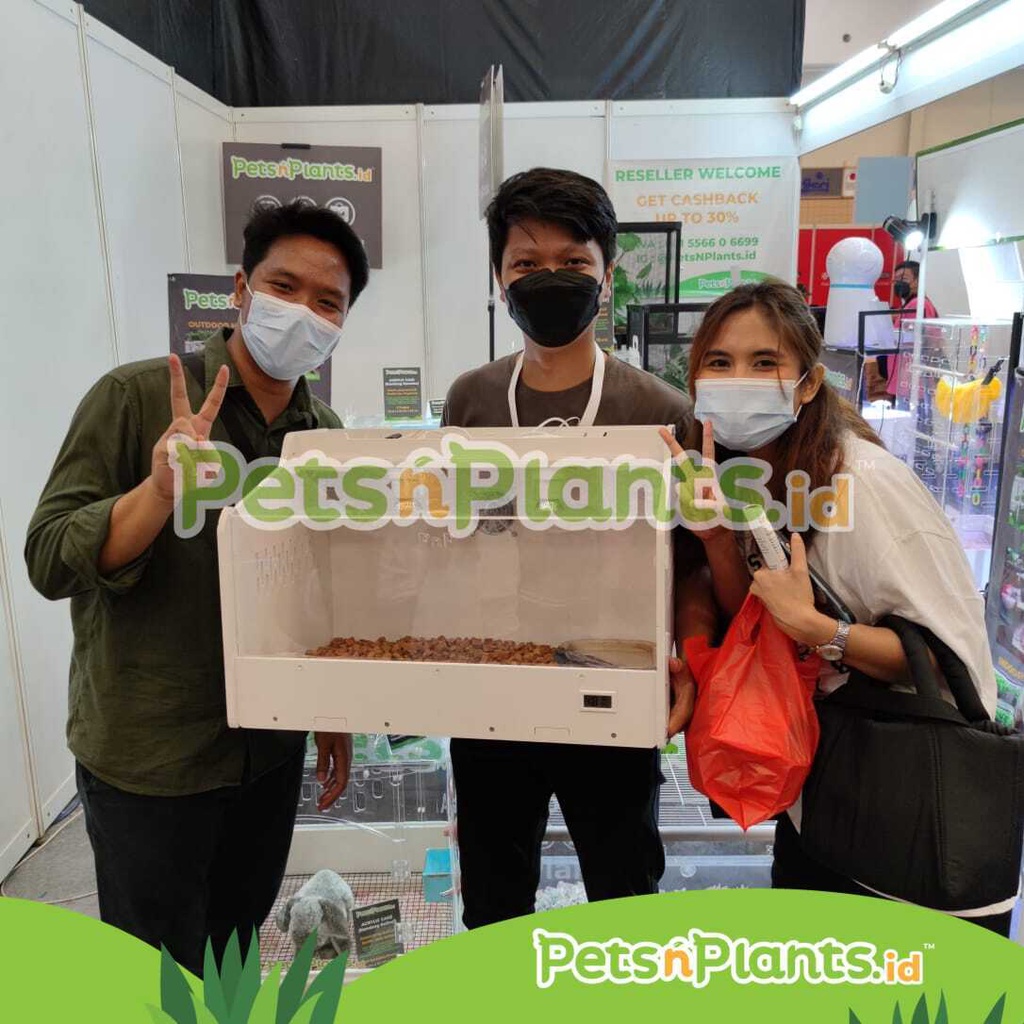 PnP Kandang Reptil Kayu Akrilik 60x40x40 Sulcata Bearded Dragon Gecko
