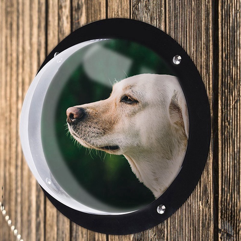 Discount Dog Window For Pet - Durable Acrylic Dog Dome For