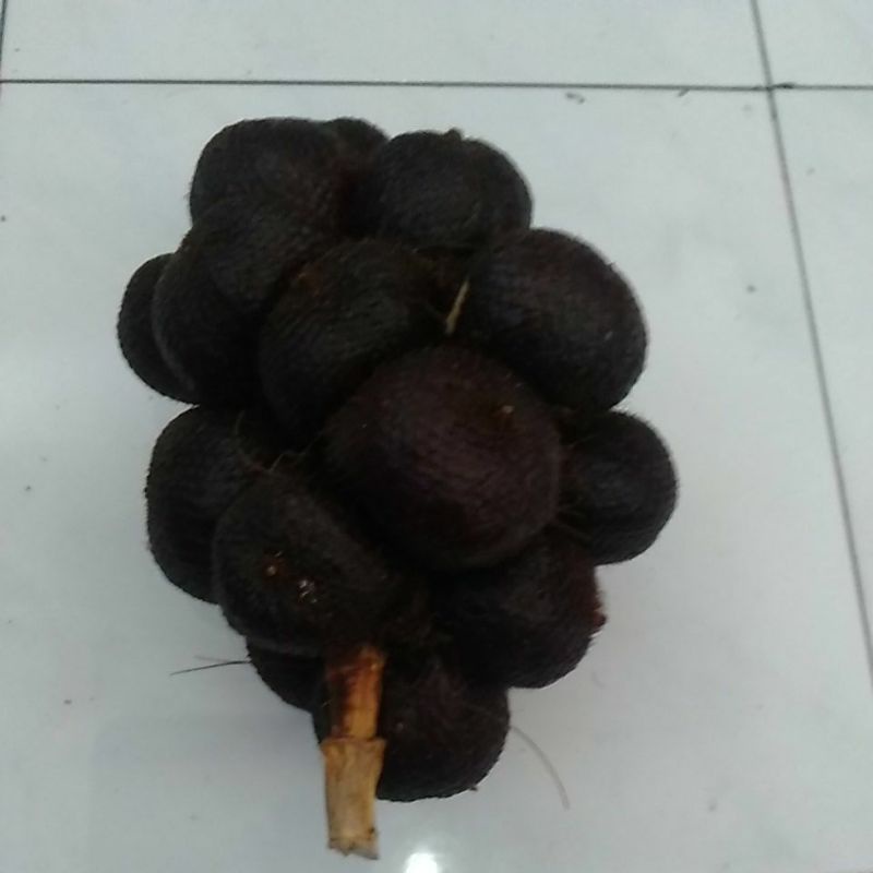 

Salak manis pondo @ 2 kilogram