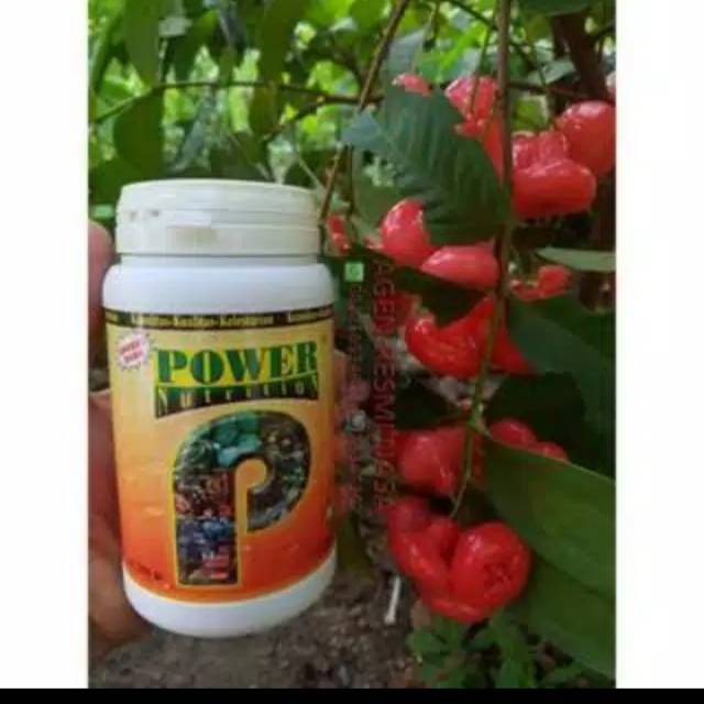 power nasa murah power nutrition power nutrition nasa power nutition murah  sa