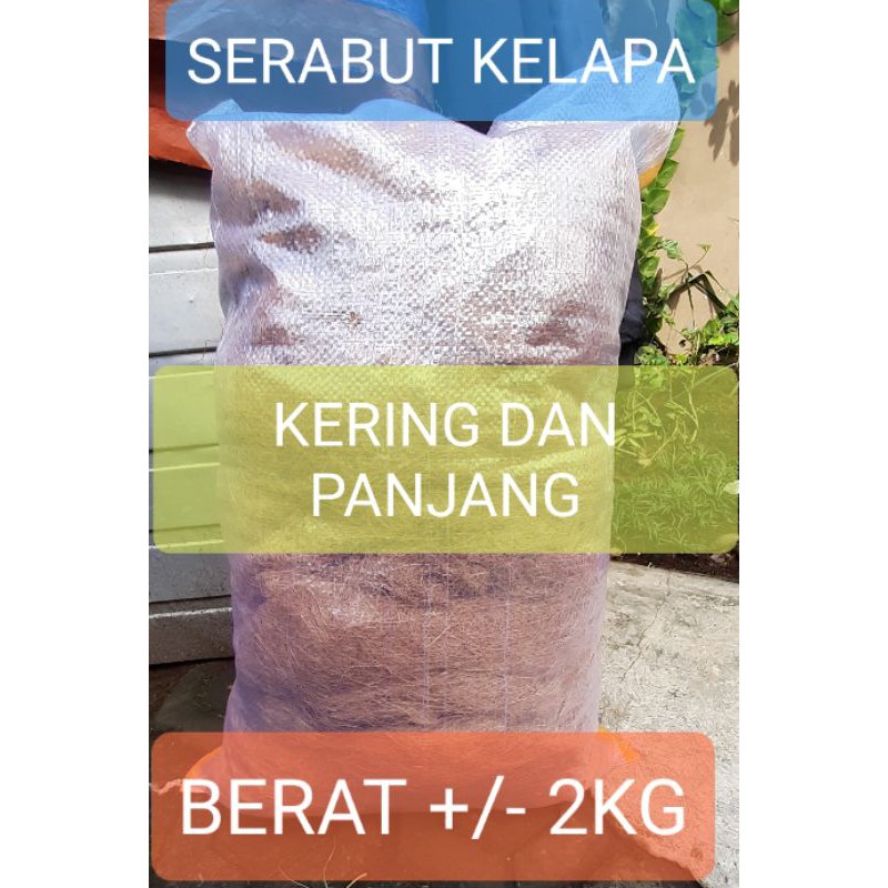 Cocofiber Serabut Sabut Kelapa 1 Karung