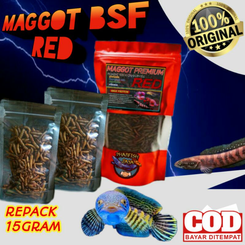 PAKAN IKAN PREDATOR/MANGGOT BSF GRADE A++ RED/magot kering merah