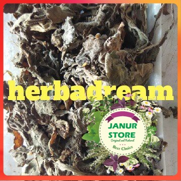 

DAUN DEWA / SAMSIT KERING 50 GRAM - Gynura Divaricata - PREMIUM QUALITY - PREMIUM QUALITY