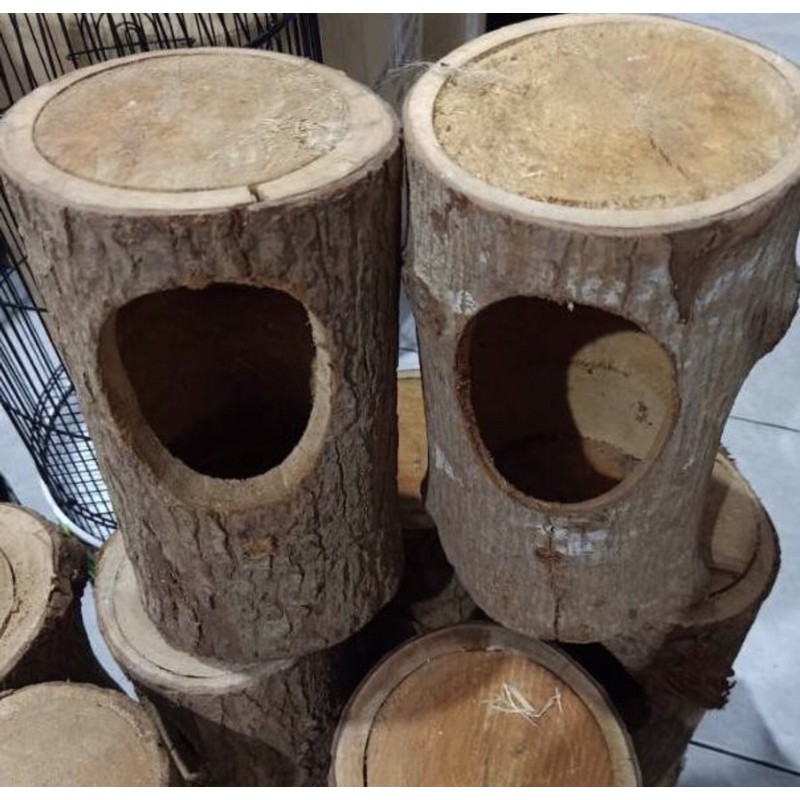 GLODOK SANGKAR MURAI Pohon BIRD BURUNG MURAI BATU