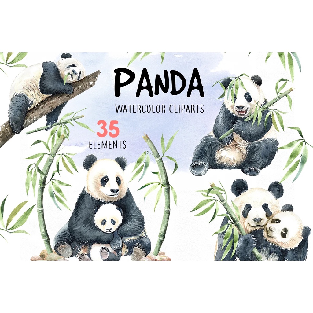 Panda Watercolor Animal Clip Art - Vector Designs