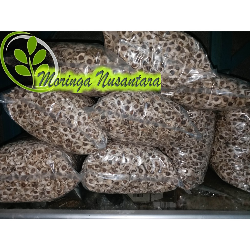 BIJI KELOR BENIH KELOR 1KG