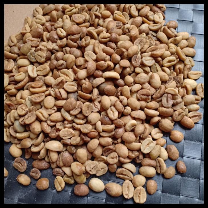 

Green Bean Arabika Gayo Wine Grade G1