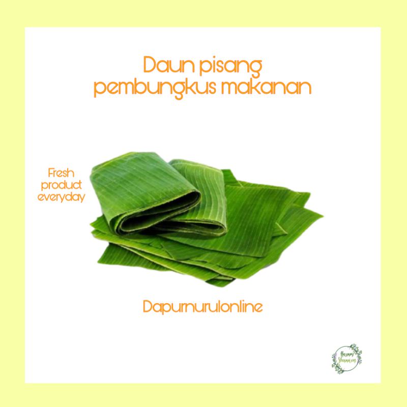 

Daun Pisang fresh segulung