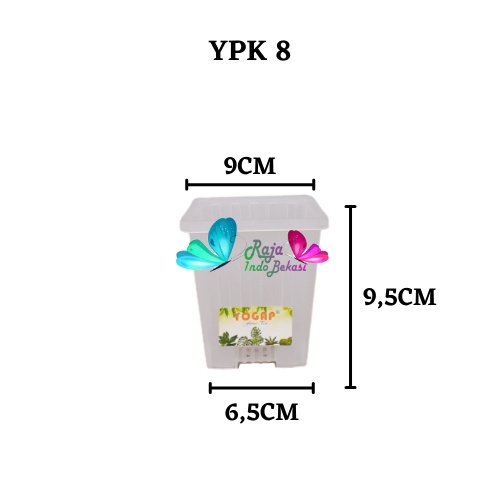 Rajaindobekasi Pot Yogap Kotak 8 Transparan Bening Pot Segi Empat Hias Pot Yogap 10 13 15 17 18 19 25 30 Pot Yogap Lusinan Pot Kotak Panjang Kecil 8 Cm Tinggi