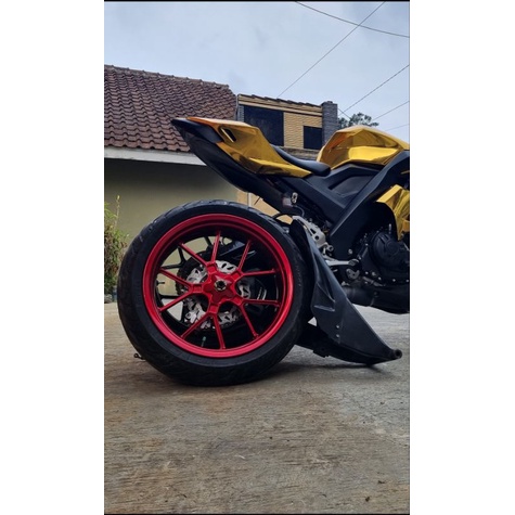swing arm r25