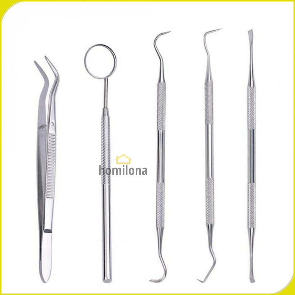 Peralatan Oral Diagnostik Perawatan Dokter Gigi Dental Care 5 in 1 - Biutte.co 7CKQ01 - Silver