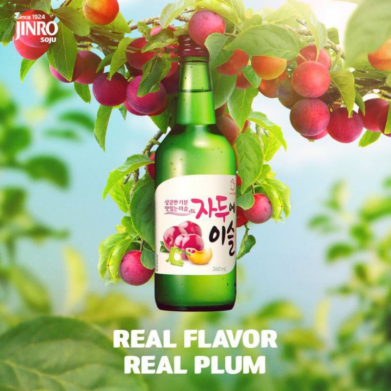 Soju Jinro Plum 360ml botol Chamisul Jinro Chamisul Plum  Soju import 360ml Soju Korea jinro Plum