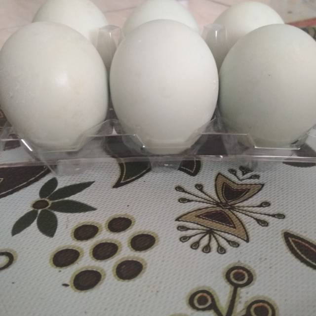 

Telur bebek asin
