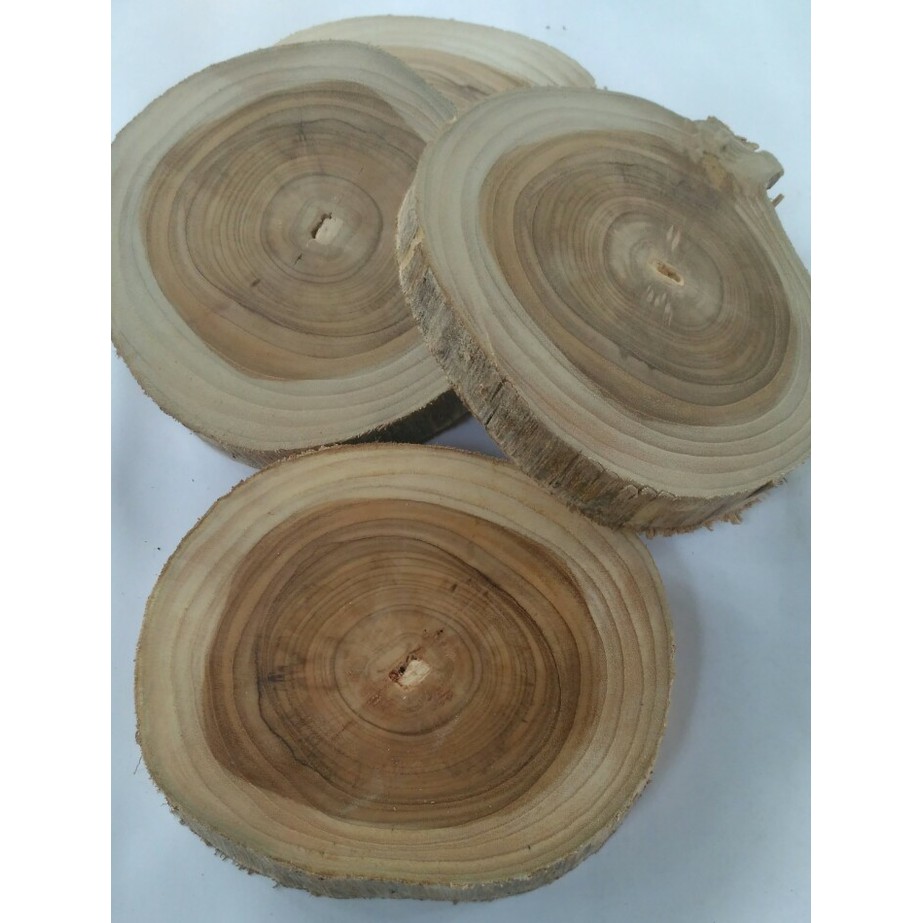 Potongan kayu Jati diameter 14-15 cm wood slice dekorasi bahan craft