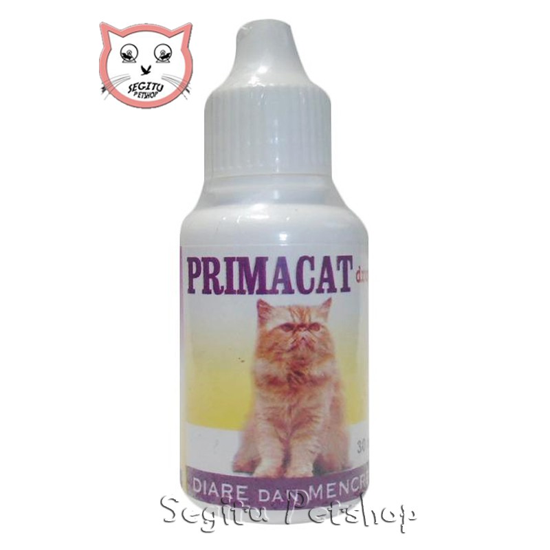 Obat Diare Mencret Kucing