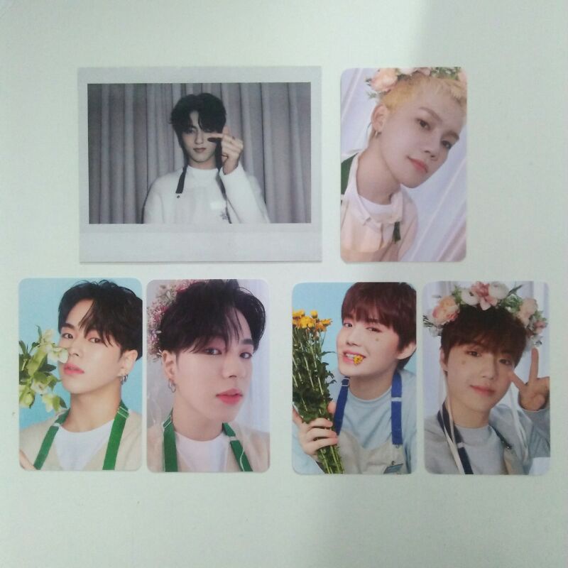 TREASURE BLOOMING TINCASE PHOTOCARD OFFICIAL BENEFIT YGP HARUTO JAEHYUK DOYOUNG POLAROID POLA