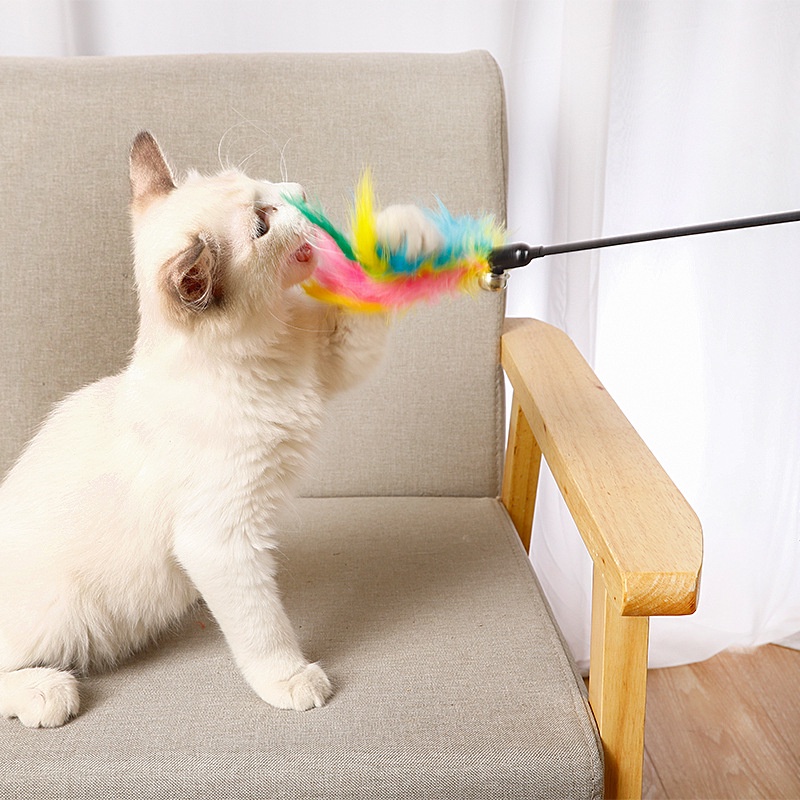 DONGWU MAINAN HEWAN KUCING ANJING LUCU KUCING TONGKAT BERBULU DAN TONGKAT KUCING LUCU