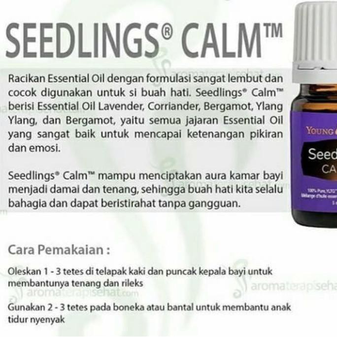 Feather The Owl Diffuser Yl Young Living Free Seedling Calm Triabdi25