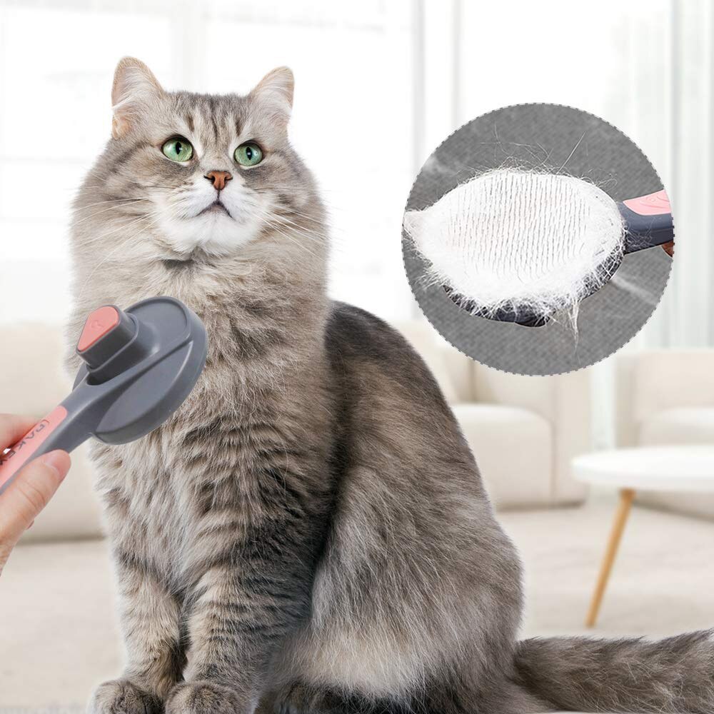 Jual PreOrder Pet Self Cleaning Slicker Brush Tools Cat Grooming Comb for  Dogs Cats Hair Remover | Shopee Indonesia