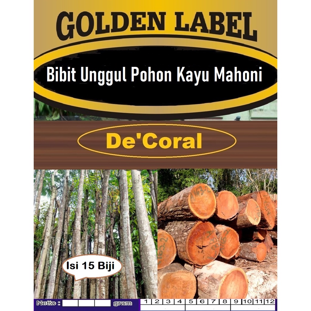 Bibit Unggul Pohon Kayu Mahoni|Biji Bibit Kayu Mahoni|Benih Mahoni|Biji Mahoni