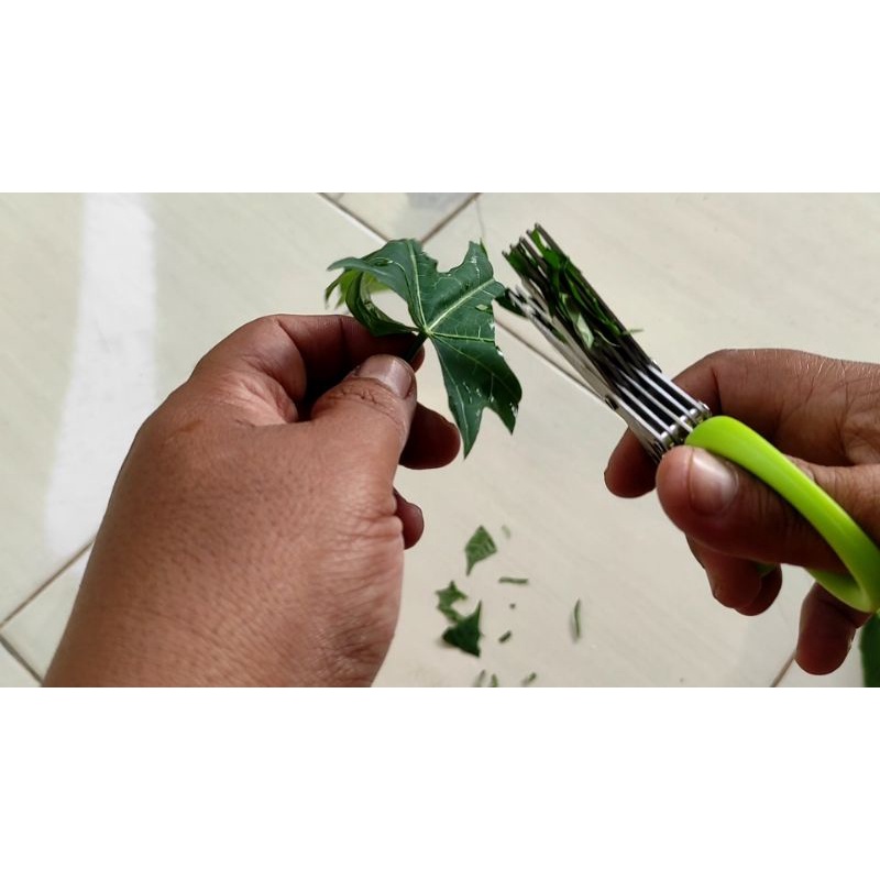 

Gunting Sayur 5 Lapis Stainless Ukuran Kecil