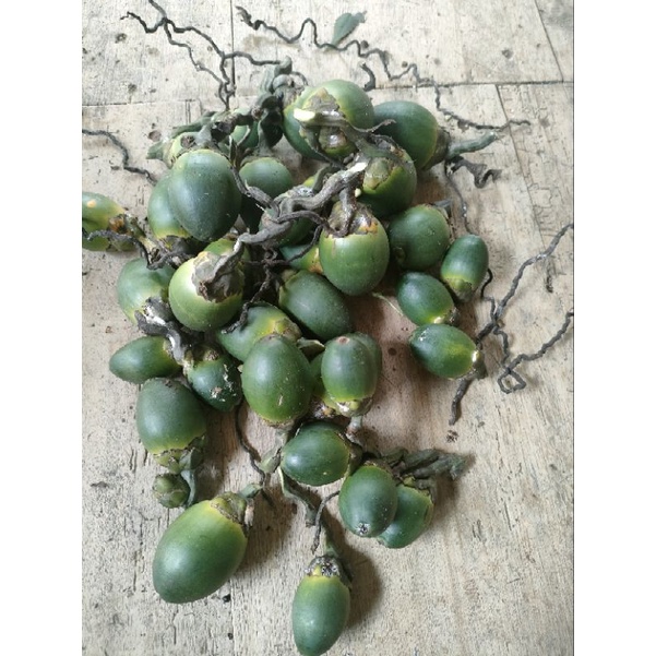 

buah pinang muda segar 1kg keratis daun pinang 200 gram