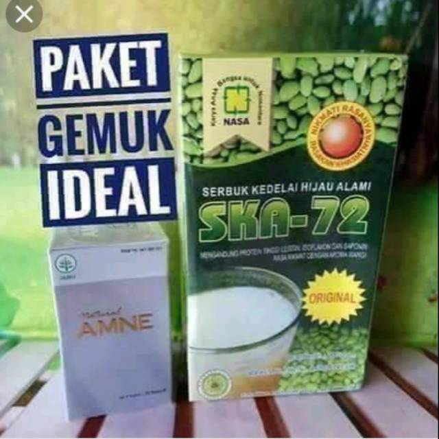 PAKET PENGGEMUK BADAN/OBAT GEMUK BADAN /OBAT PENGGEMUK BADAN