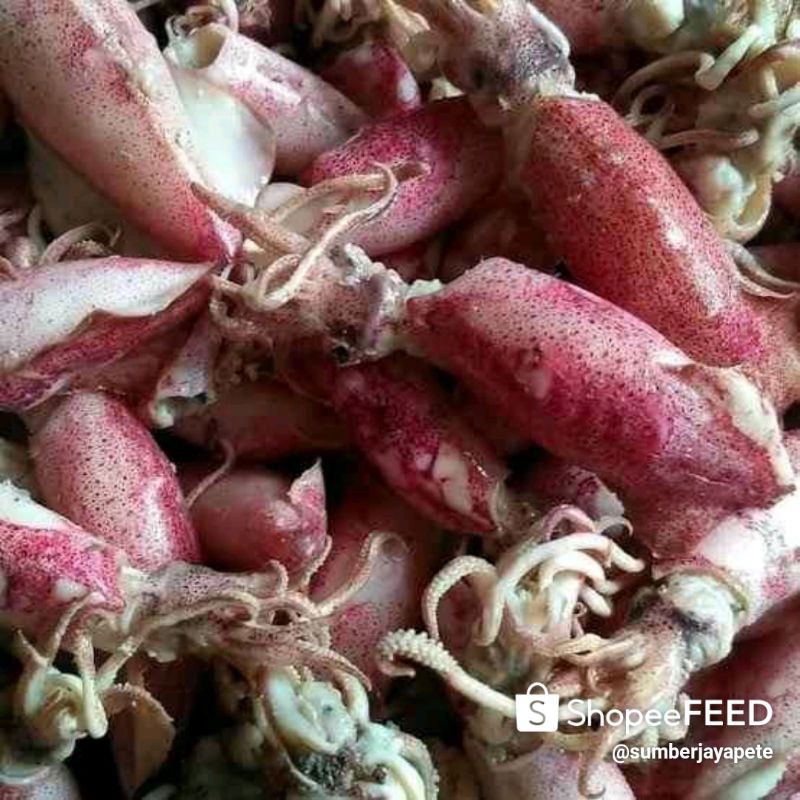 

cumi asin segar feres 120gm