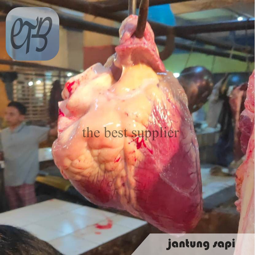 

Jantung Sapi Lokal Segar