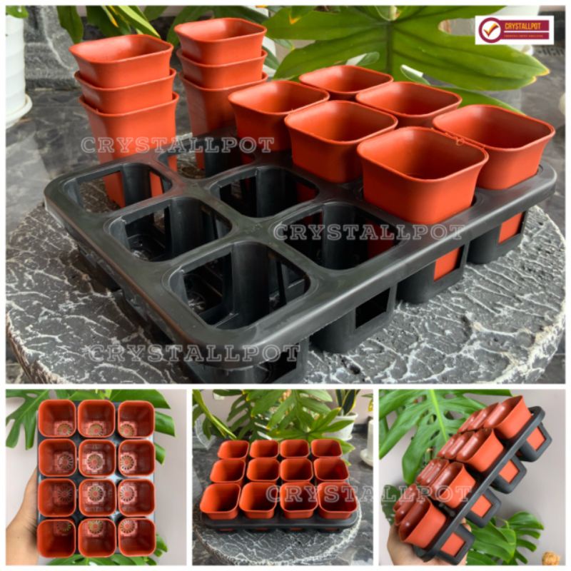 1 set Tray + pot bunga nkt kotak 5cm MERAH BATA | tray semai bibit