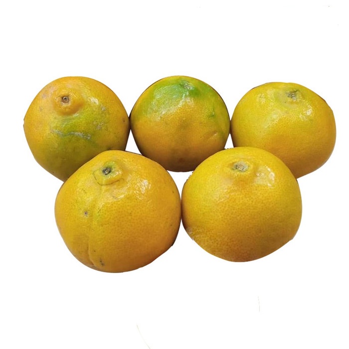 

Buah Jeruk Ponkam Premium (900g-1kg)