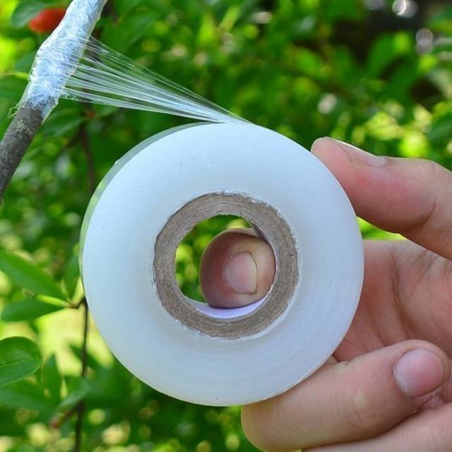 Plastik okulasi Grafting tape
