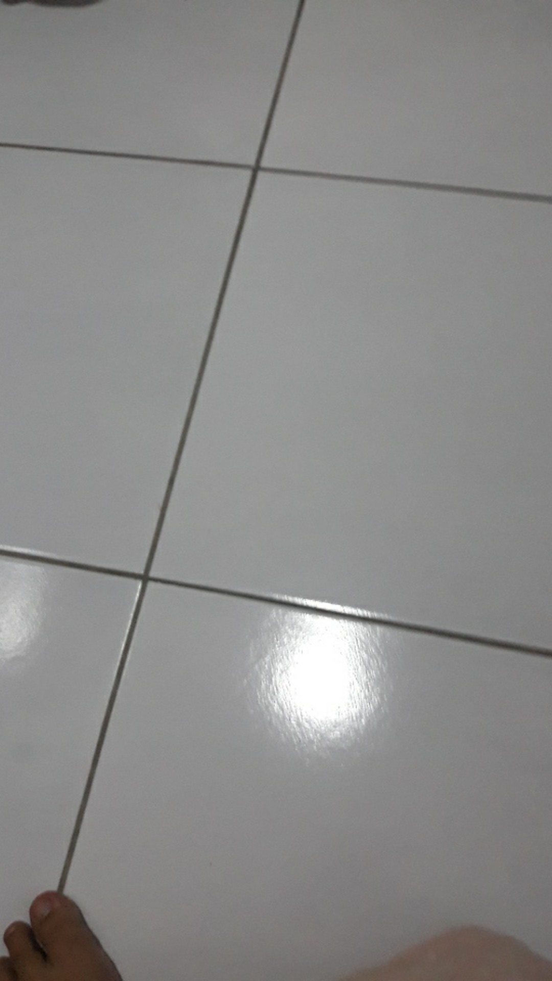 Sprei Cactus  Sunshine