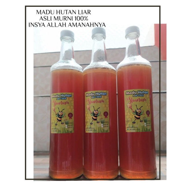 

Madu Hutan Liar 100% aseli murni KEMASAN 500ML