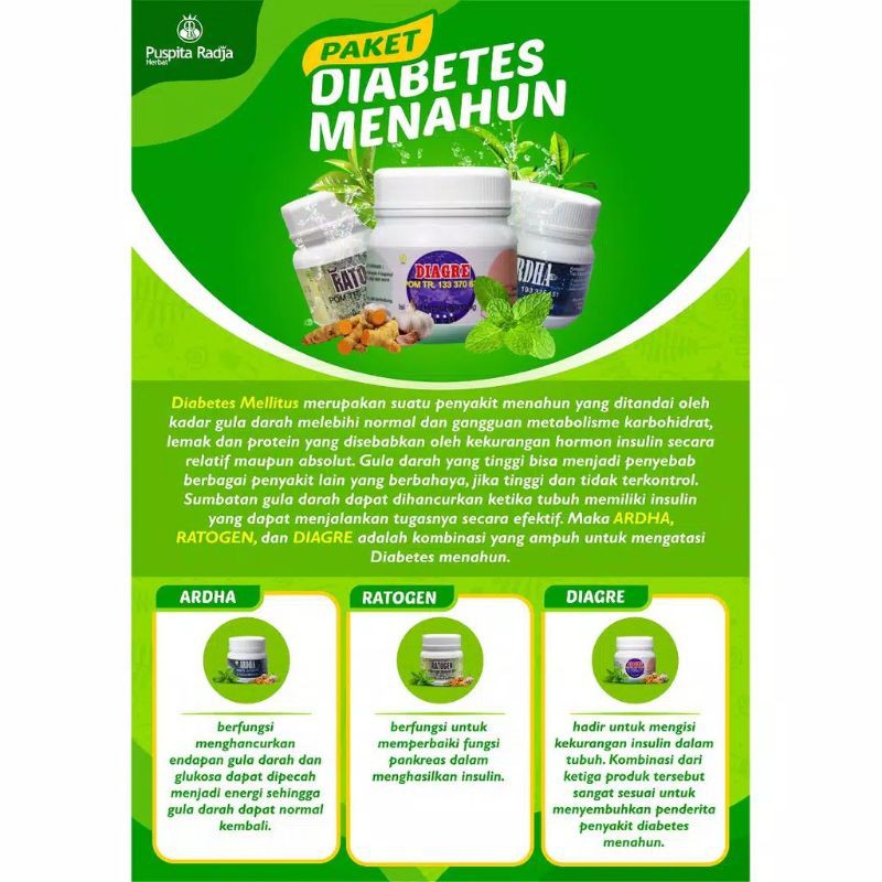 Paket Obat Gula Darah Diabetes Menahun Puspita Radja Herbal Hasan Sabila Official