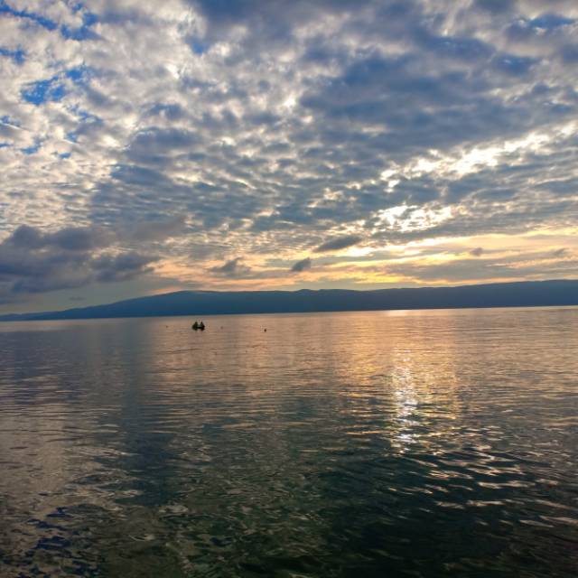 micaelferdinandwenur