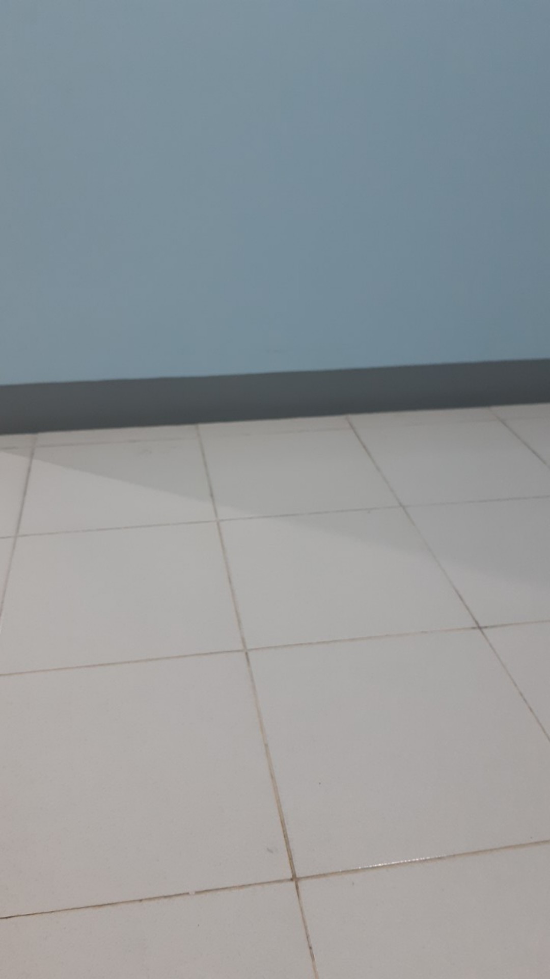 Tempat Sampah Karakter-jual Tempat Sampah Nya Saja-tinggi 18 Cm - 18,5 Cm  - Souvenir Ulang Tahun