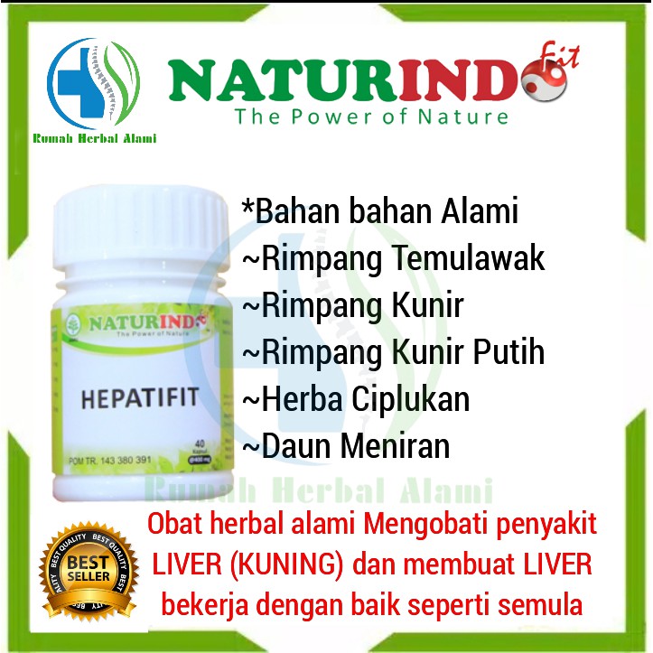 Obat liver obat herbal liver Penyakit kunimg HEPATIFIT NATURINDO